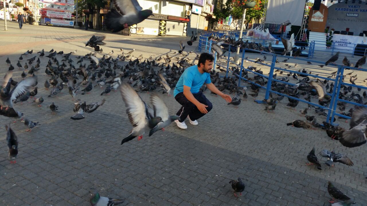 WhatsApp-Image-20160616